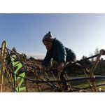 Zdjęcia użytkowników Huawei P Smart Pro