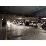 Zdjęcia użytkowników Huawei P Smart Pro