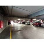 Zdjęcia użytkowników Huawei P Smart Pro