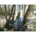 Zdjęcia użytkowników Huawei P Smart Dual SIM