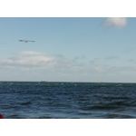 ZDJĘCIA Z TEGO TELEFONU