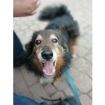 Zdjęcia użytkowników Huawei P Smart Zdjęcia użytkowników Huawei P Smart