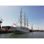 Zdjęcia użytkowników Huawei P Smart Dual SIM