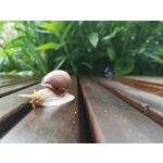 ZDJĘCIA Z TEGO TELEFONU