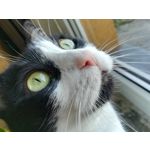 Zdjęcia użytkowników Huawei P10 Lite Dual SIM Zdjęcia użytkowników Huawei P10 Lite Dual SIM