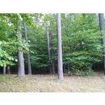 ZDJĘCIA Z TEGO TELEFONU