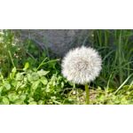 Zdjęcia użytkowników Huawei P10 Lite Dual SIM Zdjęcia użytkowników Huawei P10 Lite Dual SIM