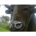 Zdjęcia użytkowników Huawei P10 Lite Dual SIM Zdjęcia użytkowników Huawei P10 Lite Dual SIM