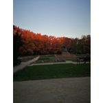 Zdjęcia użytkowników Huawei P10