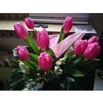 Zdjęcia użytkowników Huawei P10