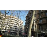 Zdjęcia użytkowników Huawei P10