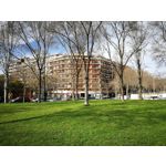 Zdjęcia użytkowników Huawei P10