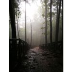 Zdjęcia użytkowników Huawei P10