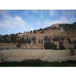 Zdjęcia użytkowników Huawei P10