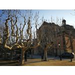 Zdjęcia użytkowników Huawei P10