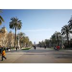 Zdjęcia użytkowników Huawei P10