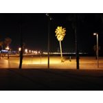 Zdjęcia użytkowników Huawei P10