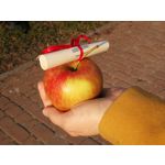 Zdjęcia użytkowników Huawei P10