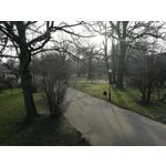 Zdjęcia użytkowników Huawei P10