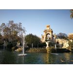 Zdjęcia użytkowników Huawei P10