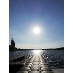 Zdjęcia użytkowników Huawei P20 Lite