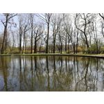 Zdjęcia użytkowników Huawei P20 Lite