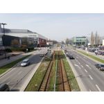 Zdjęcia użytkowników Huawei P20 Lite