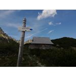 Zdjęcia użytkowników Huawei P20 Lite