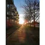 Zdjęcia użytkowników Huawei P20 Lite