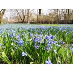 Zdjęcia użytkowników Huawei P20 Lite