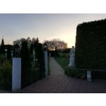 Zdjęcia użytkowników Huawei P20 Lite