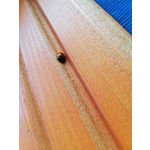 Zdjęcia użytkowników Huawei P20 Lite