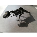 Zdjęcia użytkowników Huawei P20 Lite