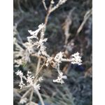 Zdjęcia użytkowników Huawei P20 Pro