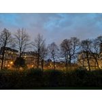 Zdjęcia użytkowników Huawei P20 Pro