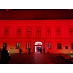Zdjęcia użytkowników Huawei P20 Pro
