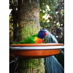 Zdjęcia użytkowników Huawei P20 Pro