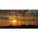 Zdjęcia użytkowników Huawei P20 Pro