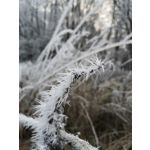 Zdjęcia użytkowników Huawei P20