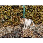 Zdjęcia użytkowników Huawei P20