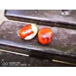 Zdjęcia użytkowników Huawei P20