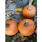 Zdjęcia użytkowników Huawei P20