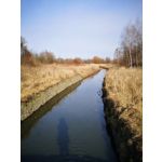 Zdjęcia użytkowników Huawei P20