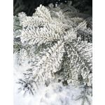 Zdjęcia użytkowników Huawei P20