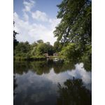 Zdjęcia użytkowników Huawei P20