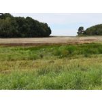 Zdjęcia użytkowników Huawei P20