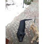 Zdjęcia użytkowników Huawei P20