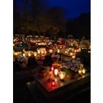 Zdjęcia użytkowników Huawei P20