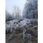 Zdjęcia użytkowników Huawei P20