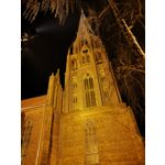 Zdjęcia użytkowników Huawei P20